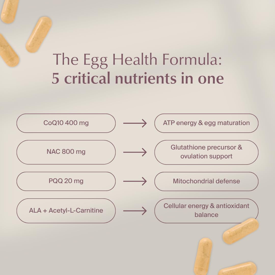 WeNatal Egg Quality+ NAC and PQQ components for mitochondrial health.