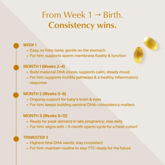 Pregnancy-support oriented use of WeNatal Omega DHA+ in daily routine