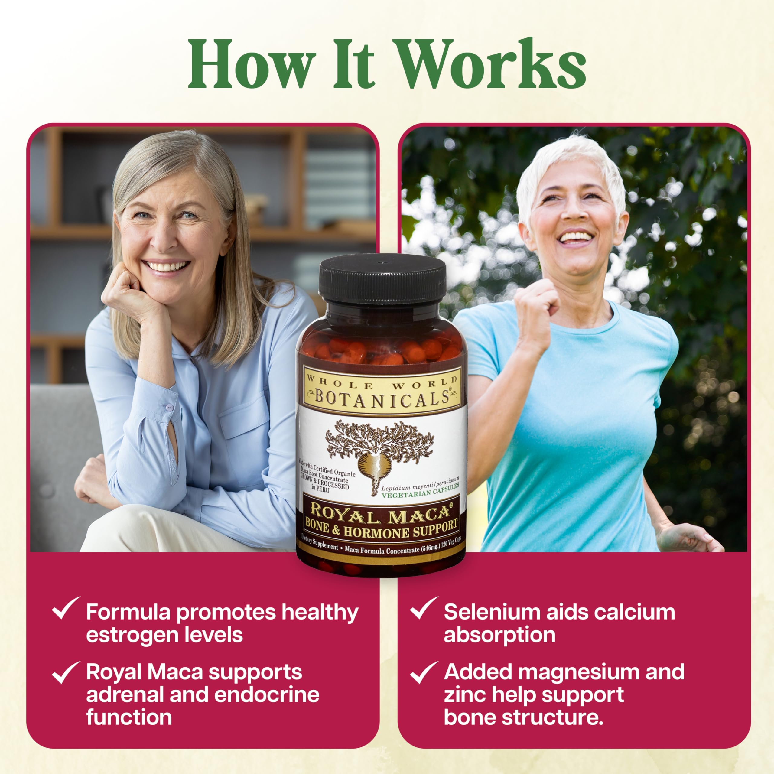 Daily use scene with Whole World Botanicals Royal Maca for routine wellness