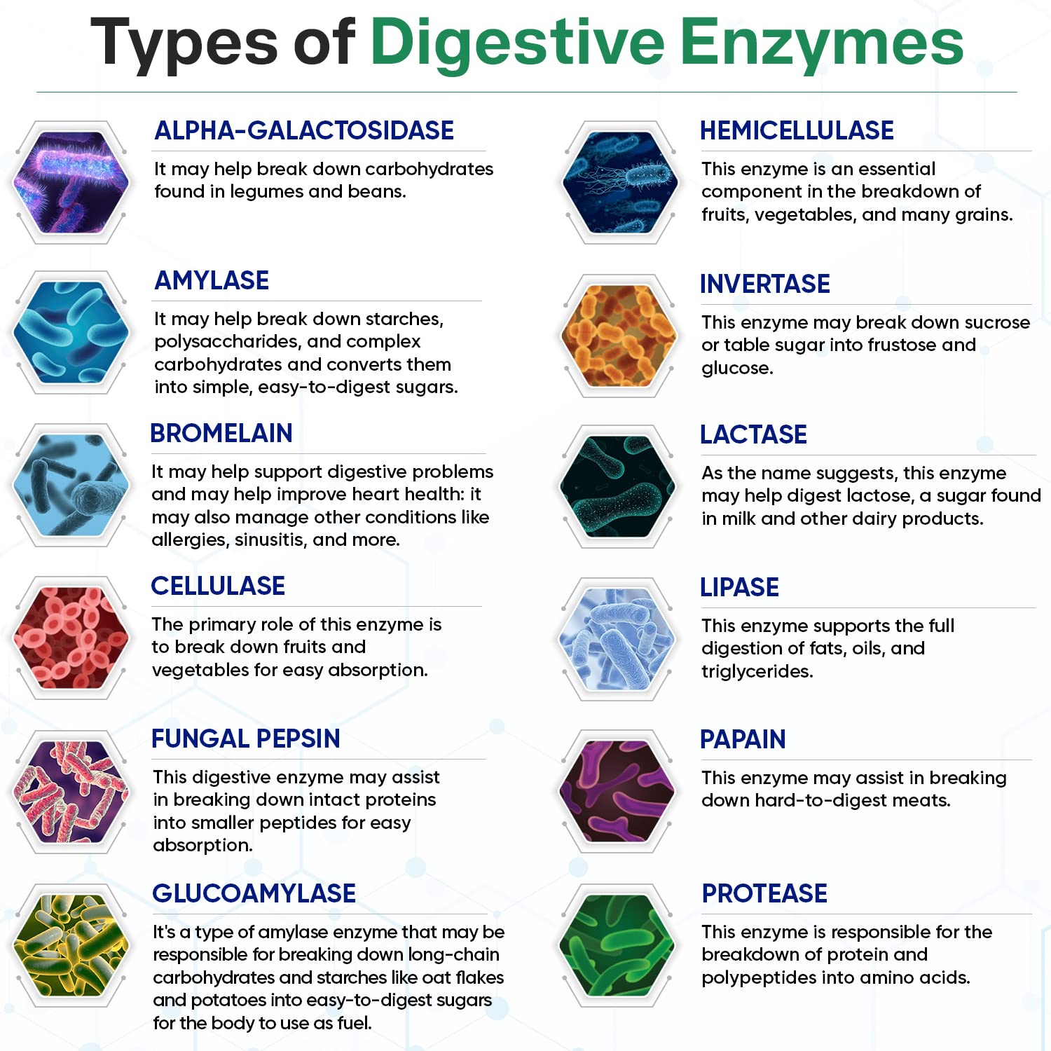 Wholesome Wellness Digestive Enzymes ingredients panel shows plant-based enzymes.