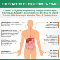 Wholesome Wellness Digestive Enzymes vegan certifications indicate quality.