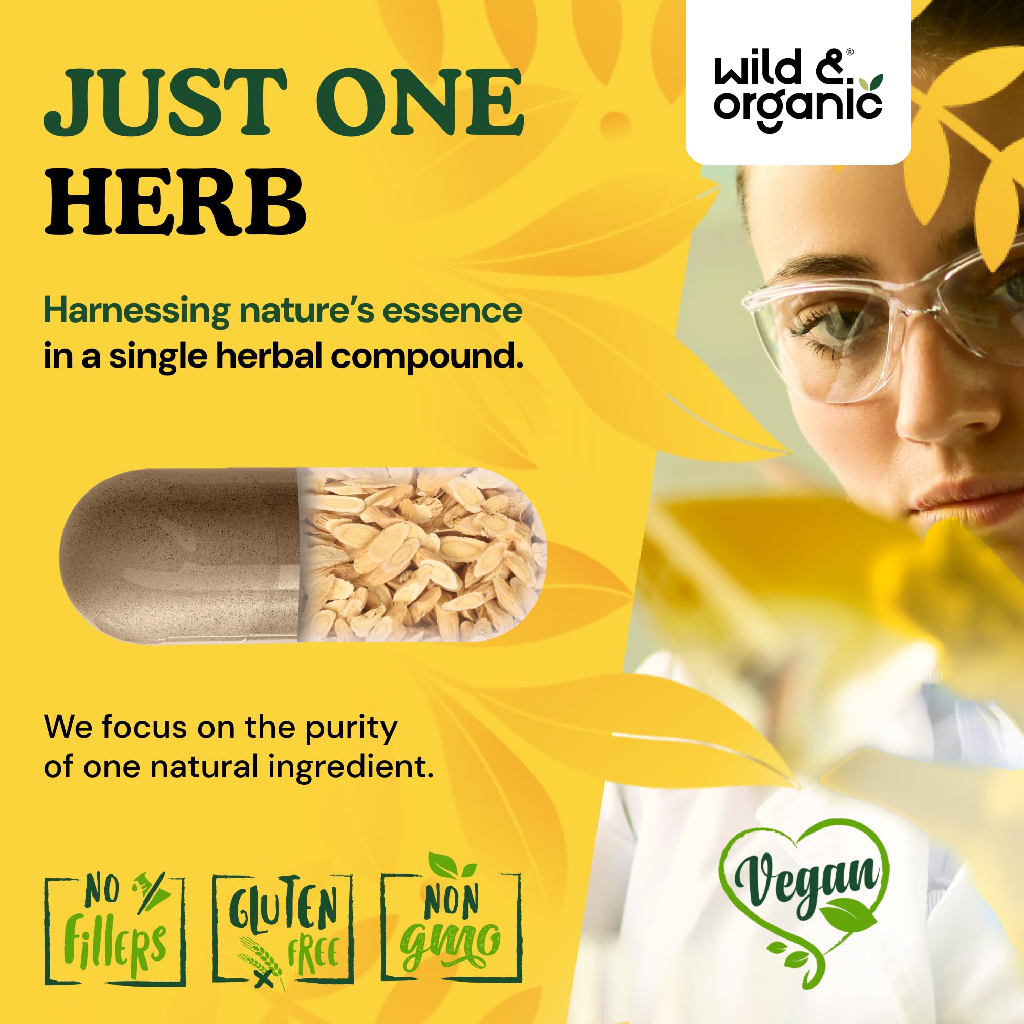 Wild & Organic Astragalus Capsules box reveals 60-day supply