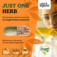 Wild & Organic packaging box with clean, plant-based formula.