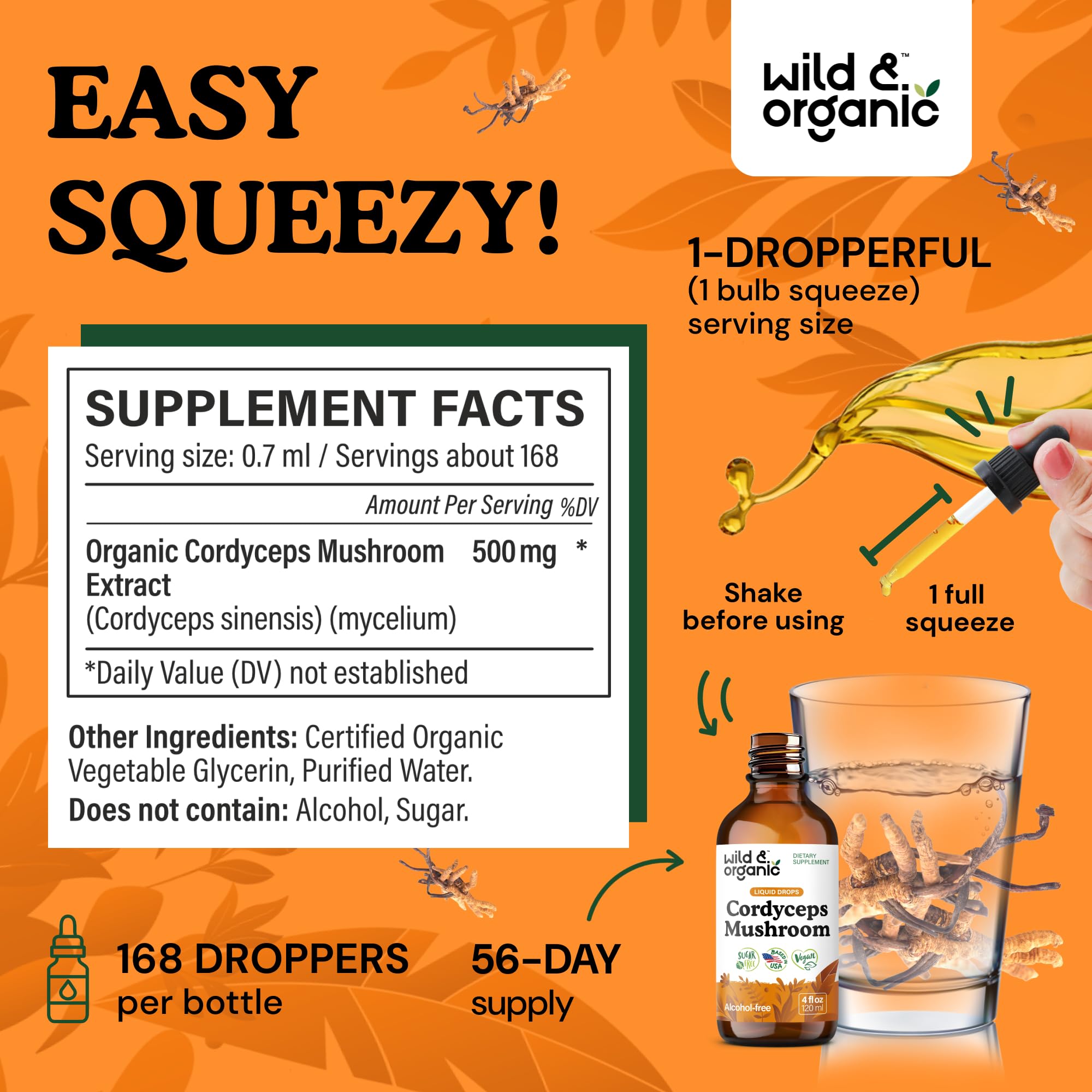 Wild & Organic Cordyceps tincture liquid closeup for quick absorption