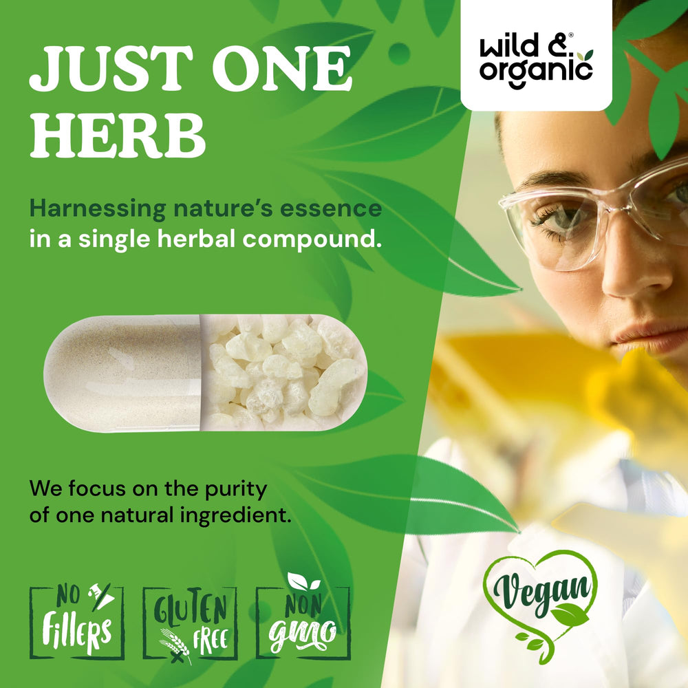 Wild & Organic mastic gum capsules tablet closeup with smooth coating for easy swallowing