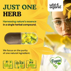 Mullein leaf plant image representing natural origin of Wild and Organic capsules