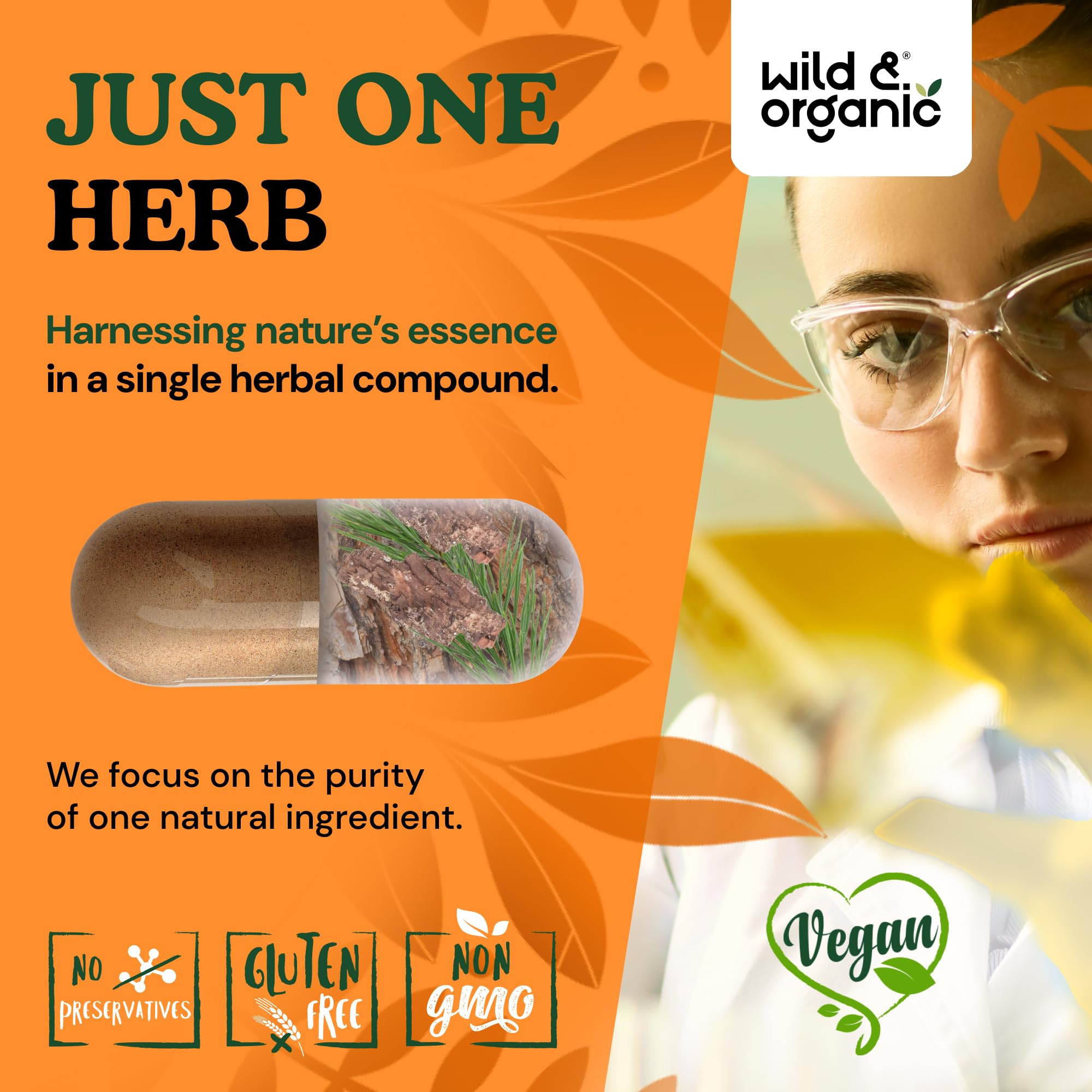 Pine bark extract powder capsules indicating 300 mg per serving from Wild and Organic.