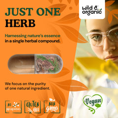 Pine bark extract powder capsules indicating 300 mg per serving from Wild and Organic.