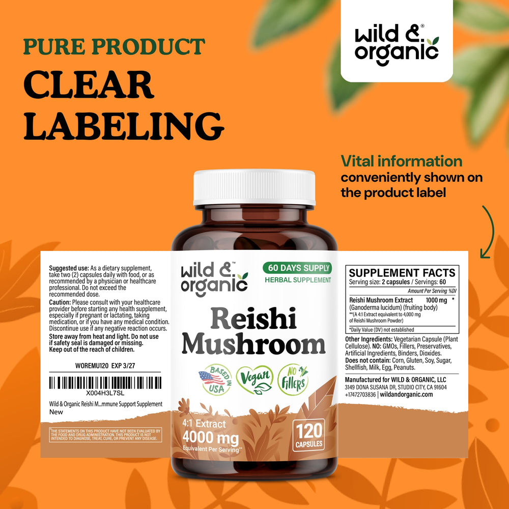 Desk scene with Wild & Organic Reishi capsules as a daily ritual