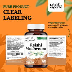 Desk scene with Wild & Organic Reishi capsules as a daily ritual