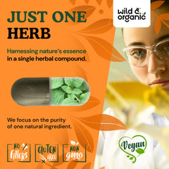 Ingredients panel of Wild & Organic nettle capsules emphasizing plant-based coating