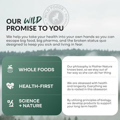 Wild Foods stevia-sweetened dragonfruit hydration for sugar-free refreshment.