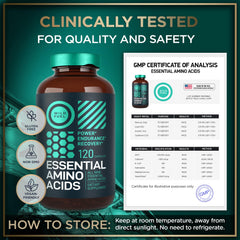 Wild Fuel Essential Amino Acids manufactured in the USA at GMP-certified facilities.