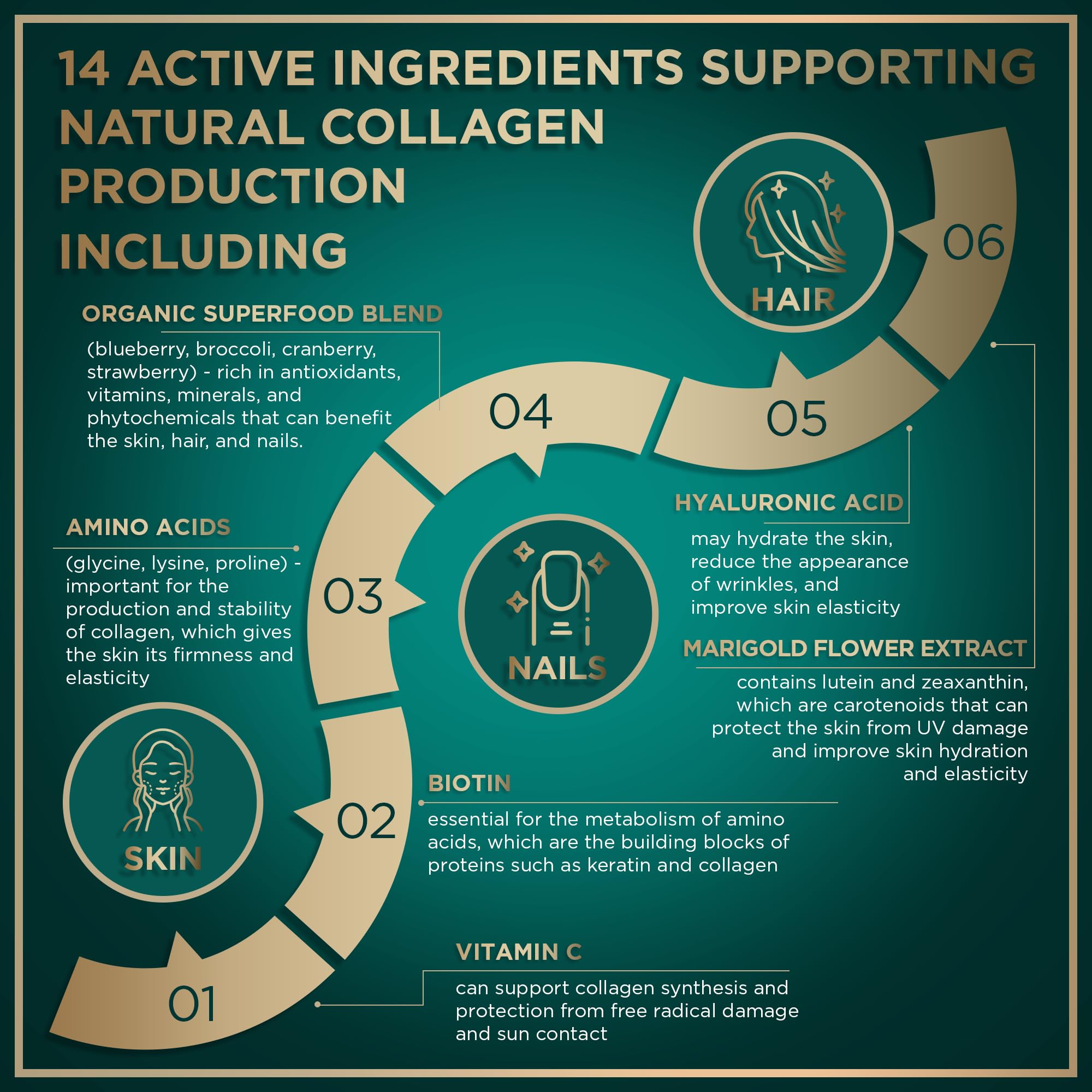 WILD FUEL vegan CGMP facility icon signals quality you can trust.