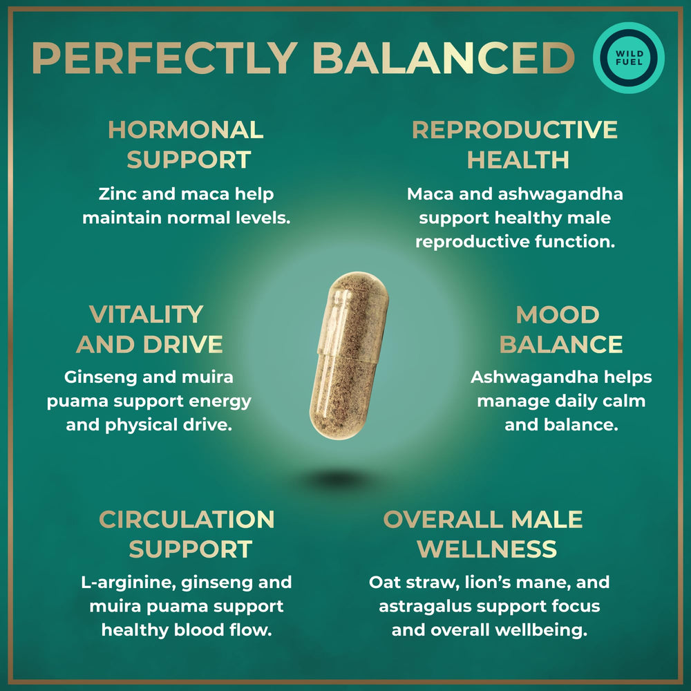 Wild Fuel zinc-22mg capsules for balanced nutrient support in fertility nutrition.