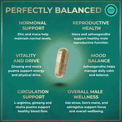 Wild Fuel zinc-22mg capsules for balanced nutrient support in fertility nutrition.