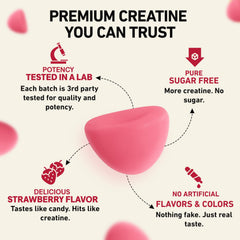 WILD GAINZ daily-serving concept shows four gummies equal five grams