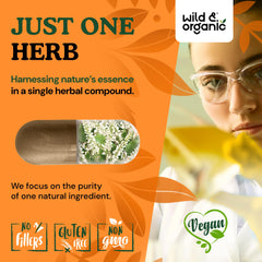 540 mg per serving and 120-day supply indicated on Wild & Organic label.