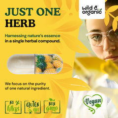 Wild & Organic bromelain eco-friendly plant-based ingredients display.
