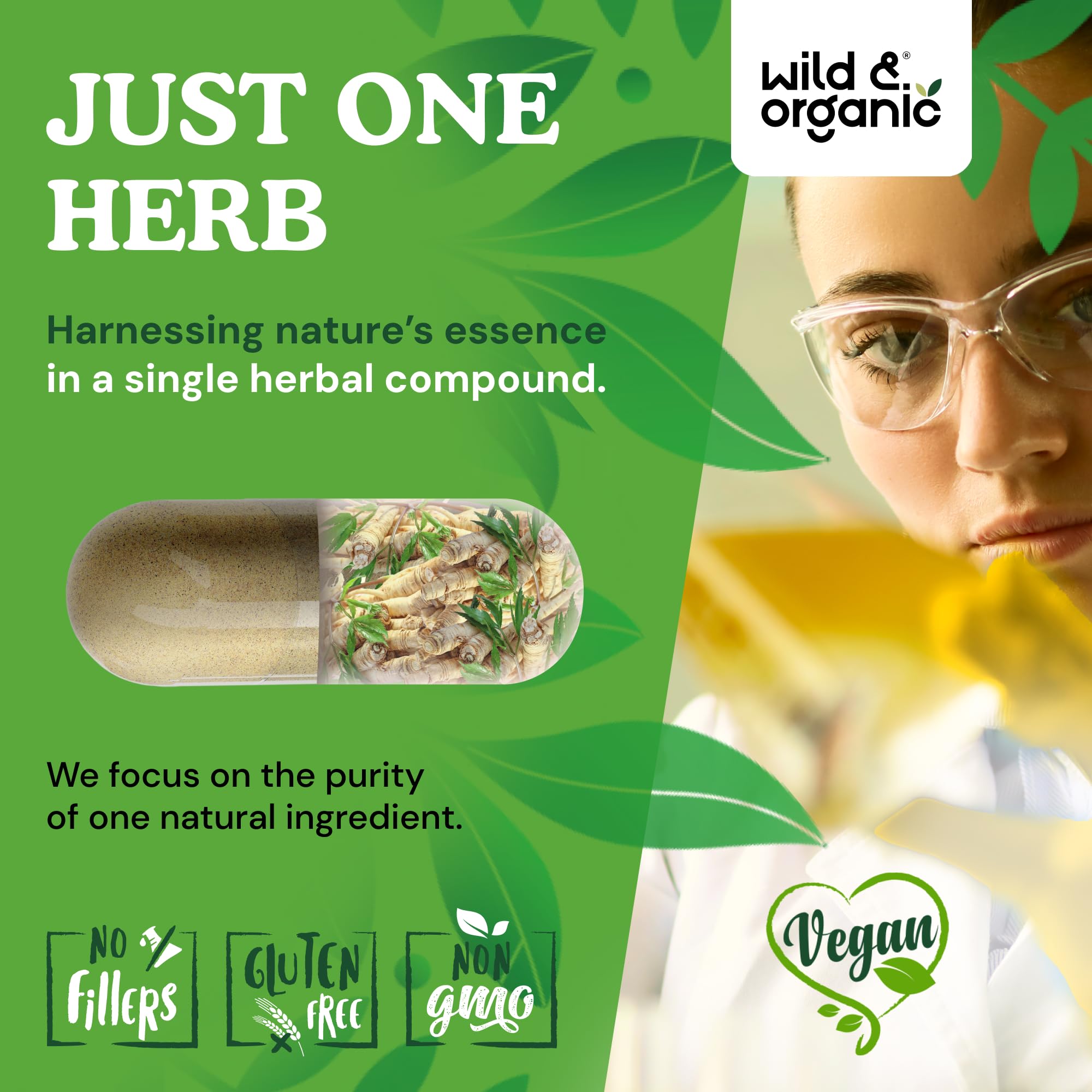 Wild & Organic dong quai capsules packaging featuring vegan and gluten-free icons