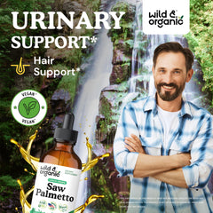 Wild & Organic Saw Palmetto tincture dropper ready for precise dosing.