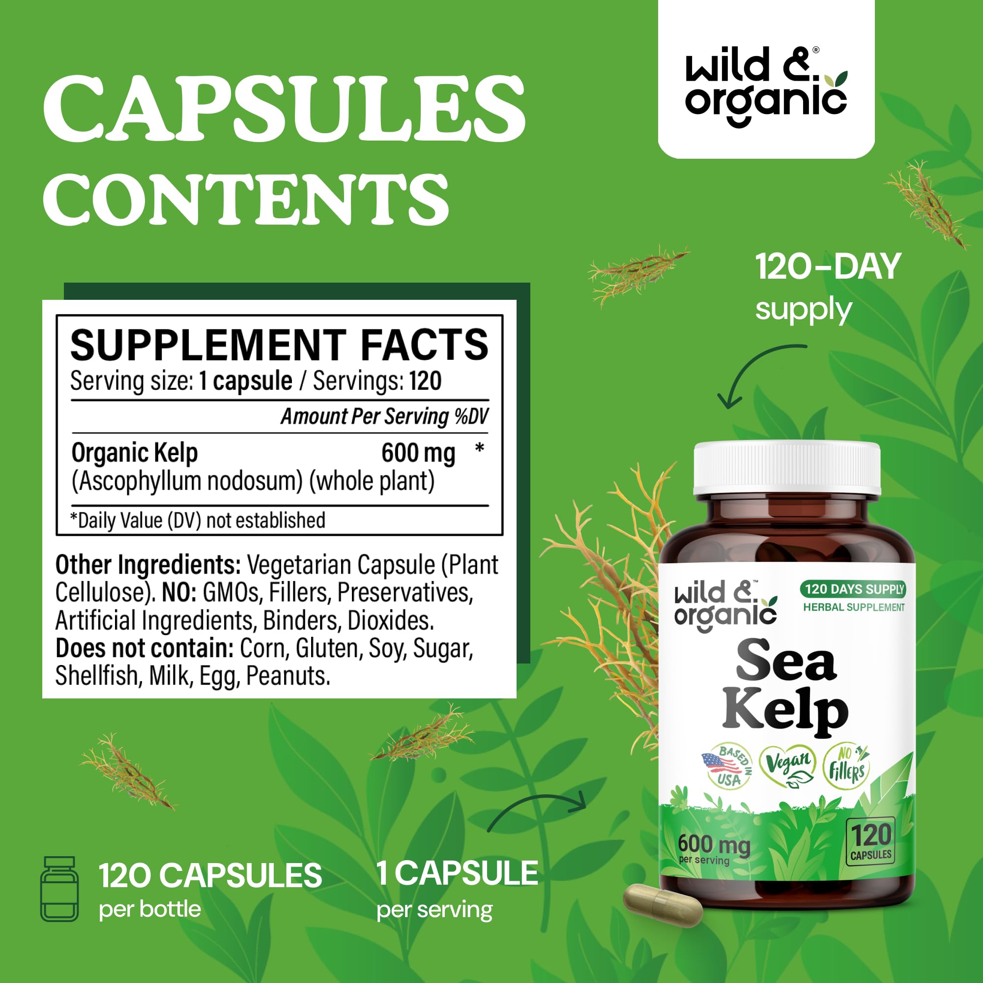 Front-facing packaging shows Wild & Organic Sea Kelp 600 mg benefits