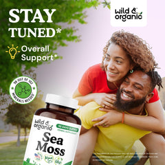 Wild & Organic Sea Moss capsules label closeup highlighting ingredients