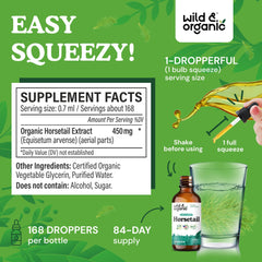 Wild & Organic horsetail ingredients scene highlighting plant-based source for hair and nails wellness routine