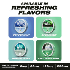 Wild Pouches Spearmint shelf-ready display for retail.