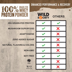 WILD SOCIETY mushroom blend pack with adaptogens shown