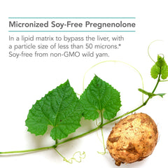 Wild yam source illustration highlights plant-sourced, non-GMO origin.