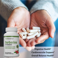 Windmill Berberine with cinnamon highlights antioxidant benefits for digestion