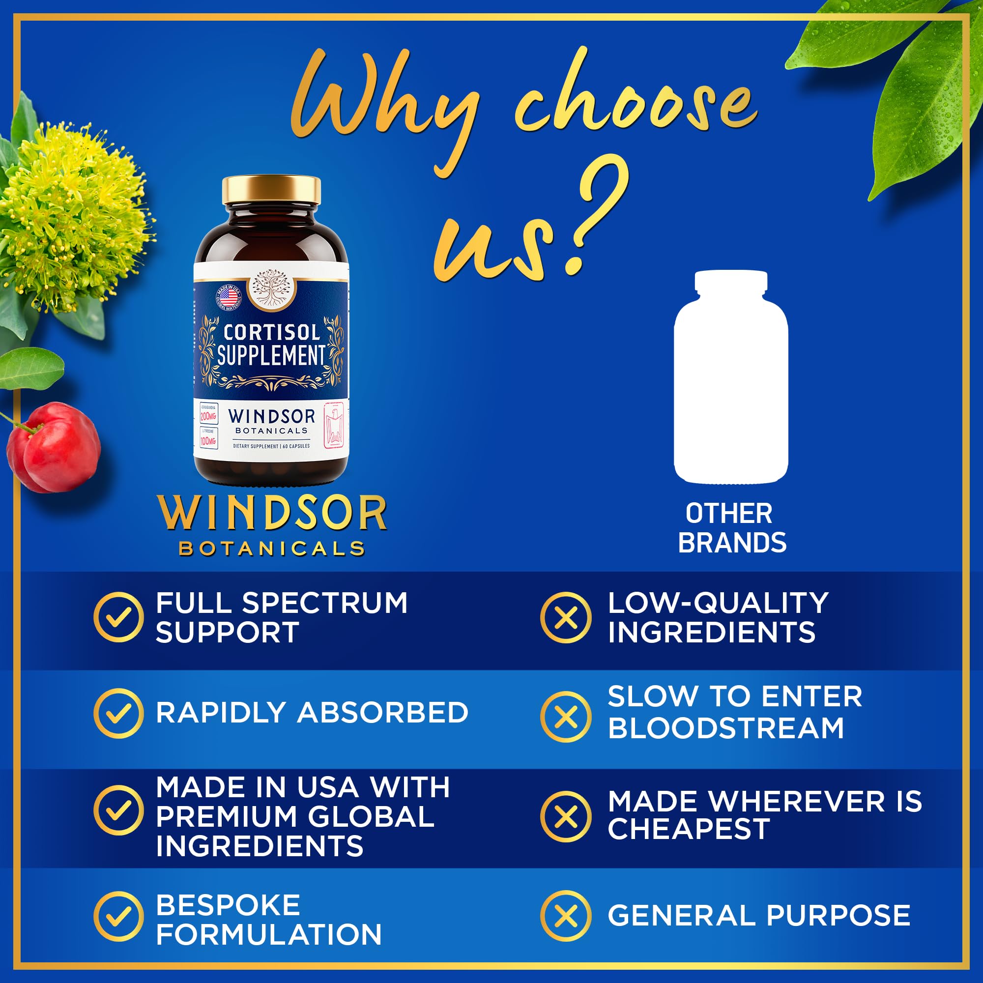 WINDSOR BOTANICALS Panax ginseng and rhodiola enhance resilience under pressure