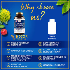 WINDSOR BOTANICALS Panax ginseng and rhodiola enhance resilience under pressure