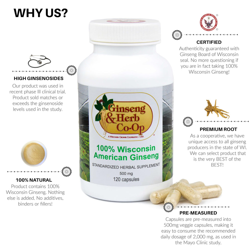 Wisconsin American ginseng roots closeup indicating natural source and potency.