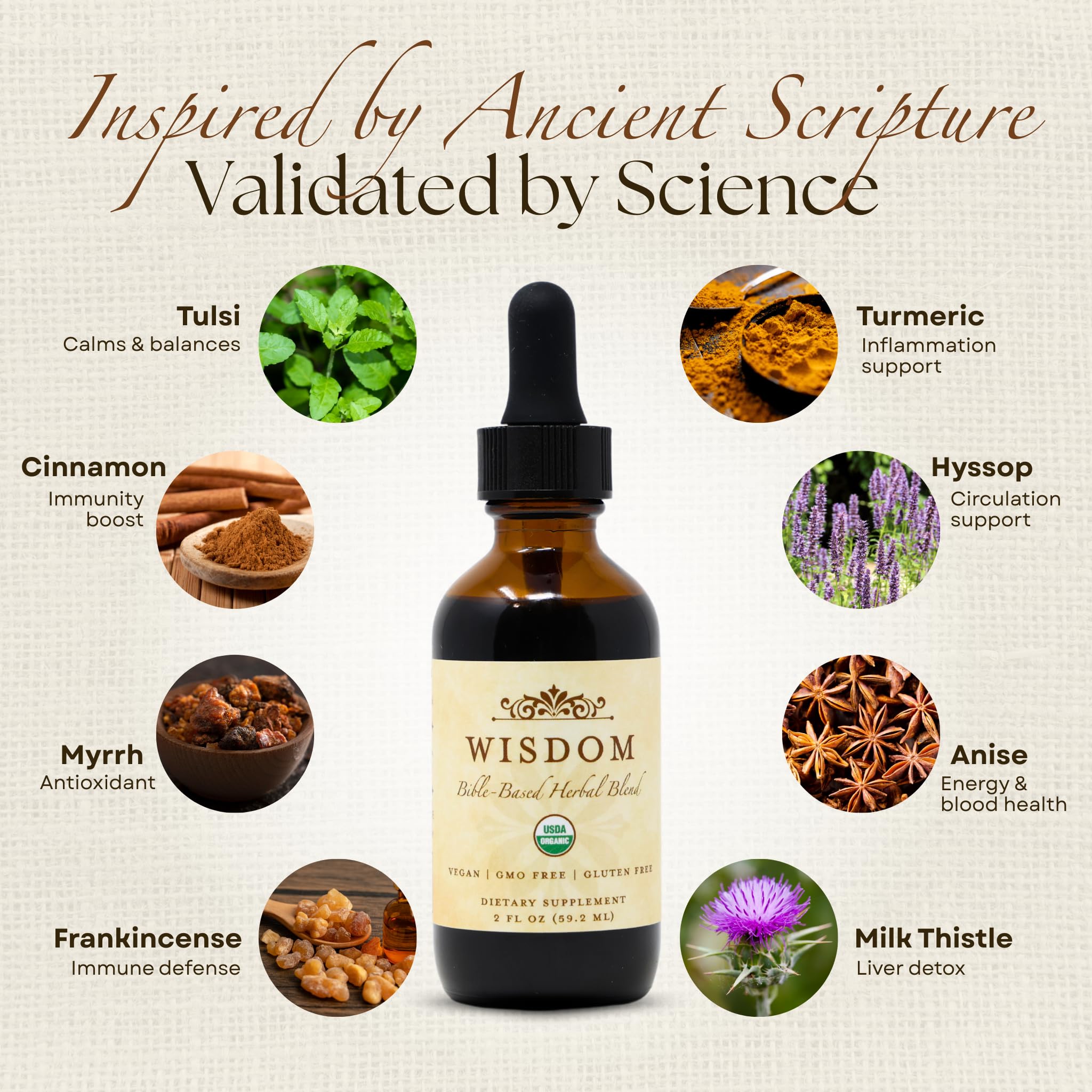 Wisdom Nutrition organic herbs laid out, highlighting turmeric, holy basil, and milk thistle.