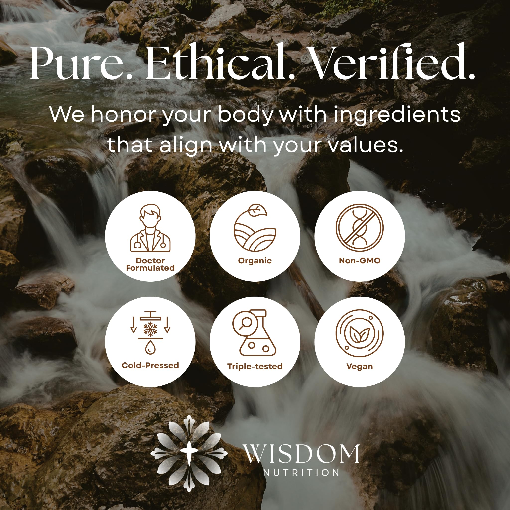 Wisdom Nutrition milk thistle and turmeric imagery suggesting body detox support.