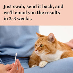 Wisdom Panel breed and health report preview showing 70+ breeds