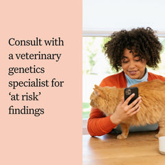 Wisdom Panel blood type information card for emergencies