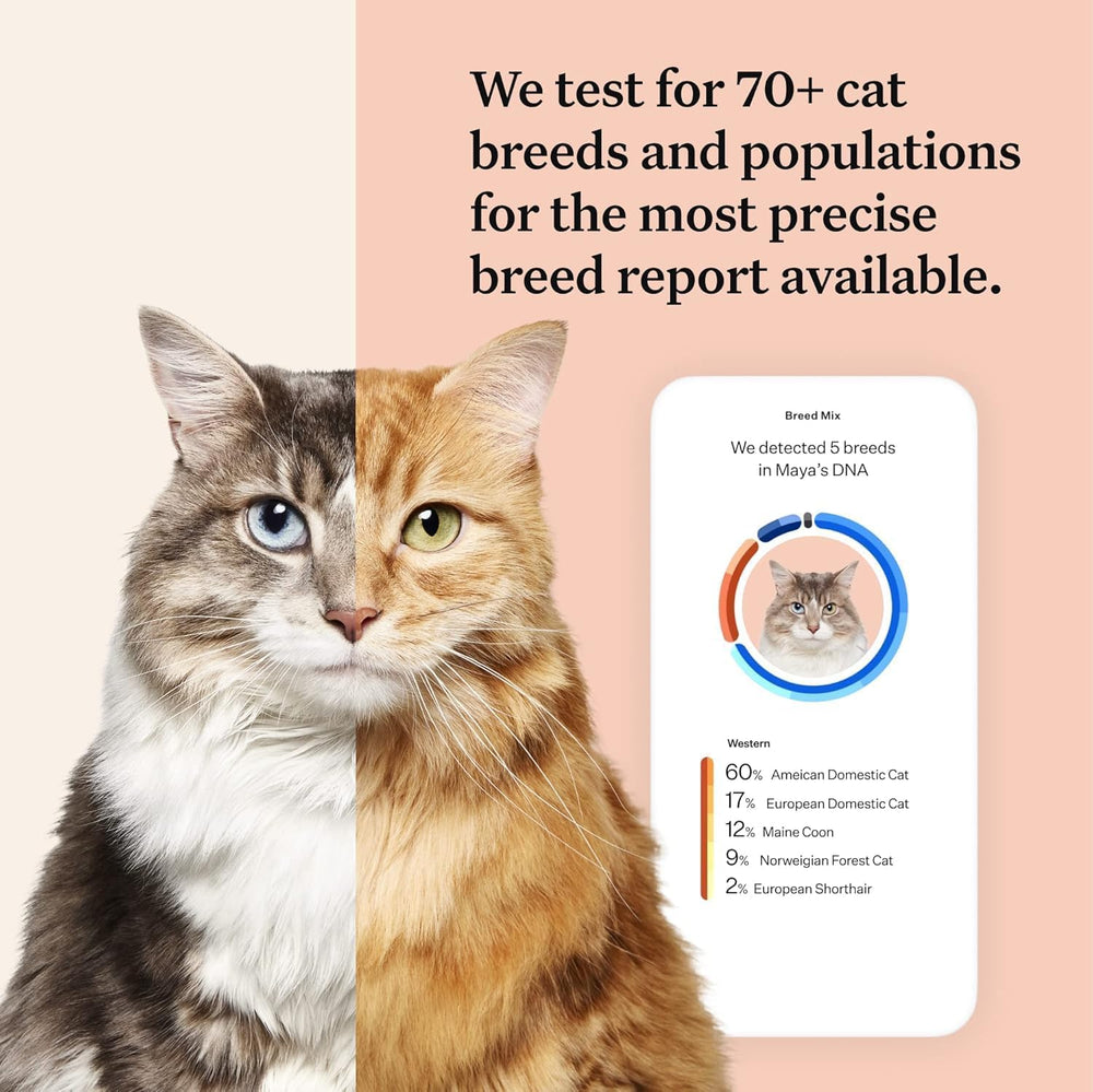 Wisdom Panel complete swab tube ready for painless sample collection