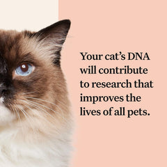 Wisdom Panel Complete report preview with vet consult option