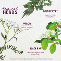 WishGarden AfterEase ingredients close-up featuring Cramp Bark and Black Haw.