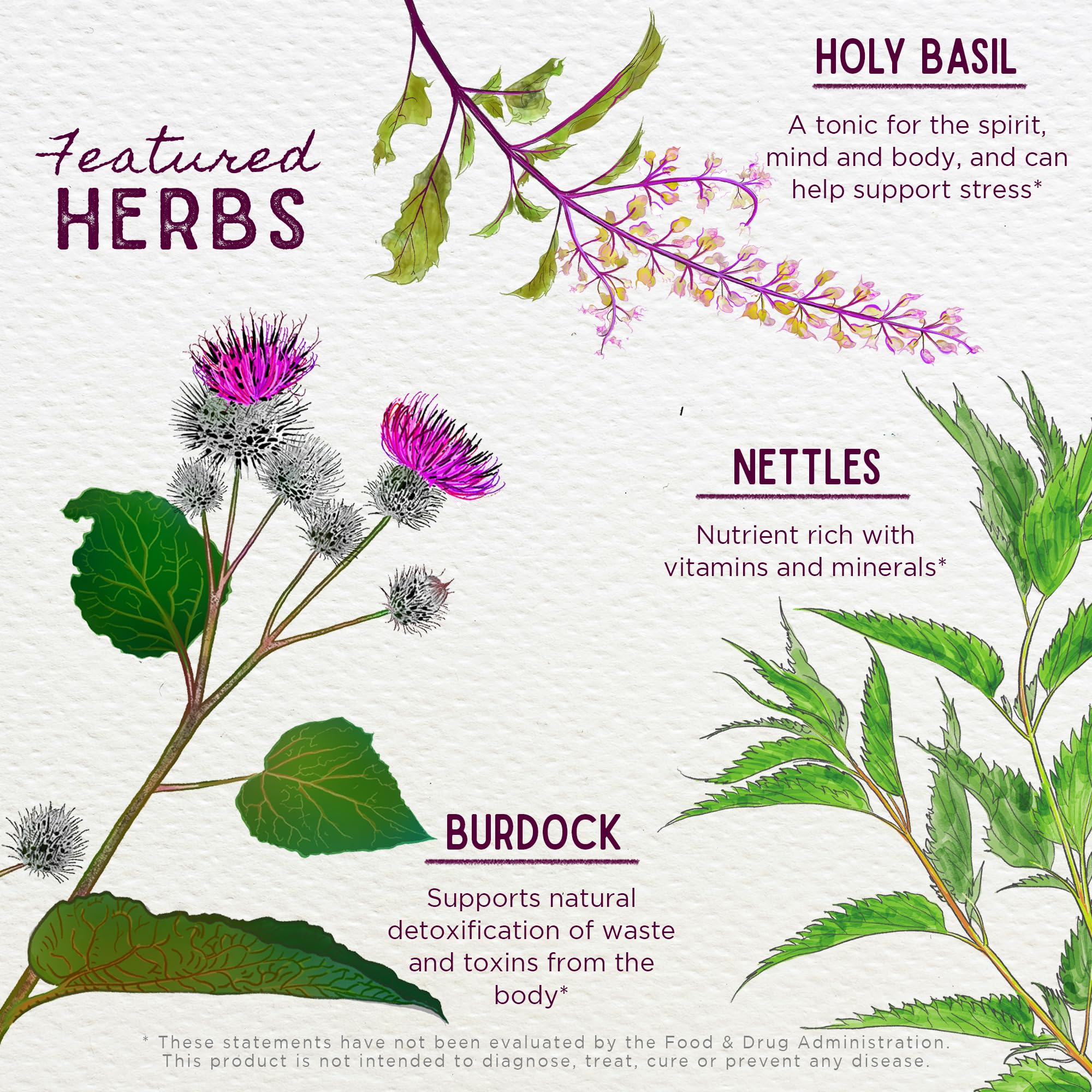 Organic ingredients like black cohosh, vitex and wild yam in Cycle Changes.