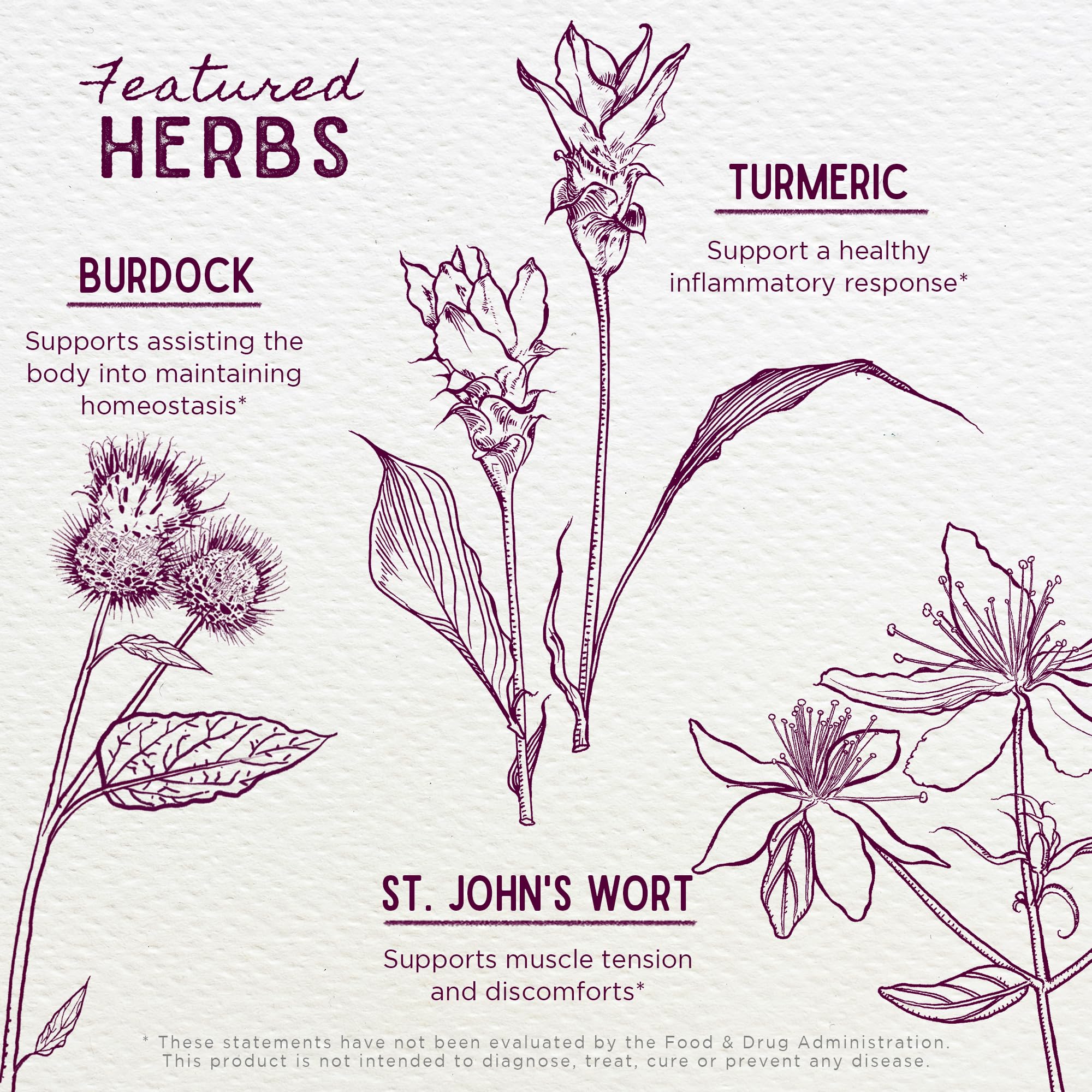 WishGarden Deep Recovery ingredients turmeric-curcumin showcases natural herbs for inflammatory balance