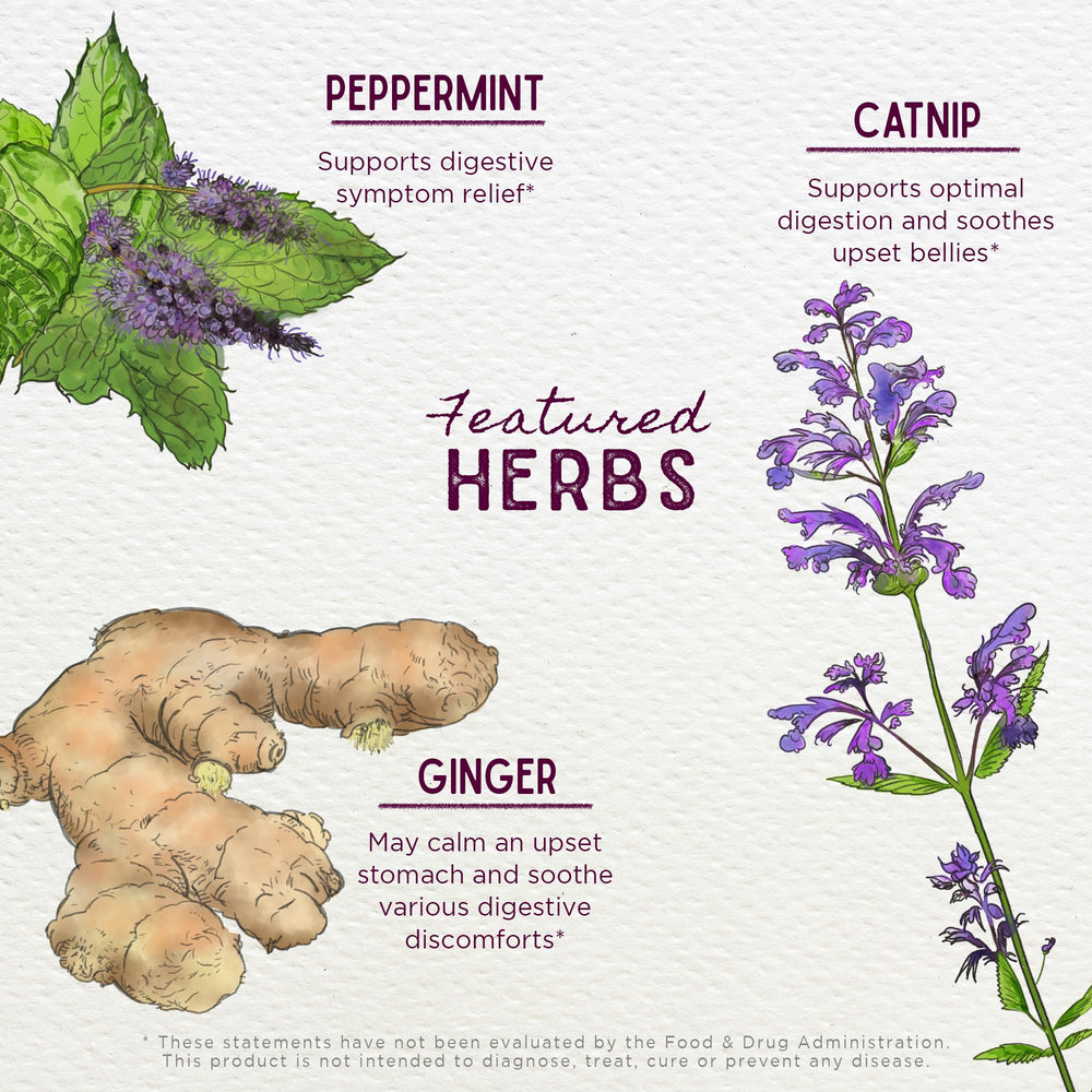 WishGarden Digestive Rescue for Kids peppermint leaf close-up emphasizes refreshing aroma and soothing possibilities