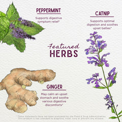 WishGarden Digestive Rescue for Kids peppermint leaf close-up emphasizes refreshing aroma and soothing possibilities
