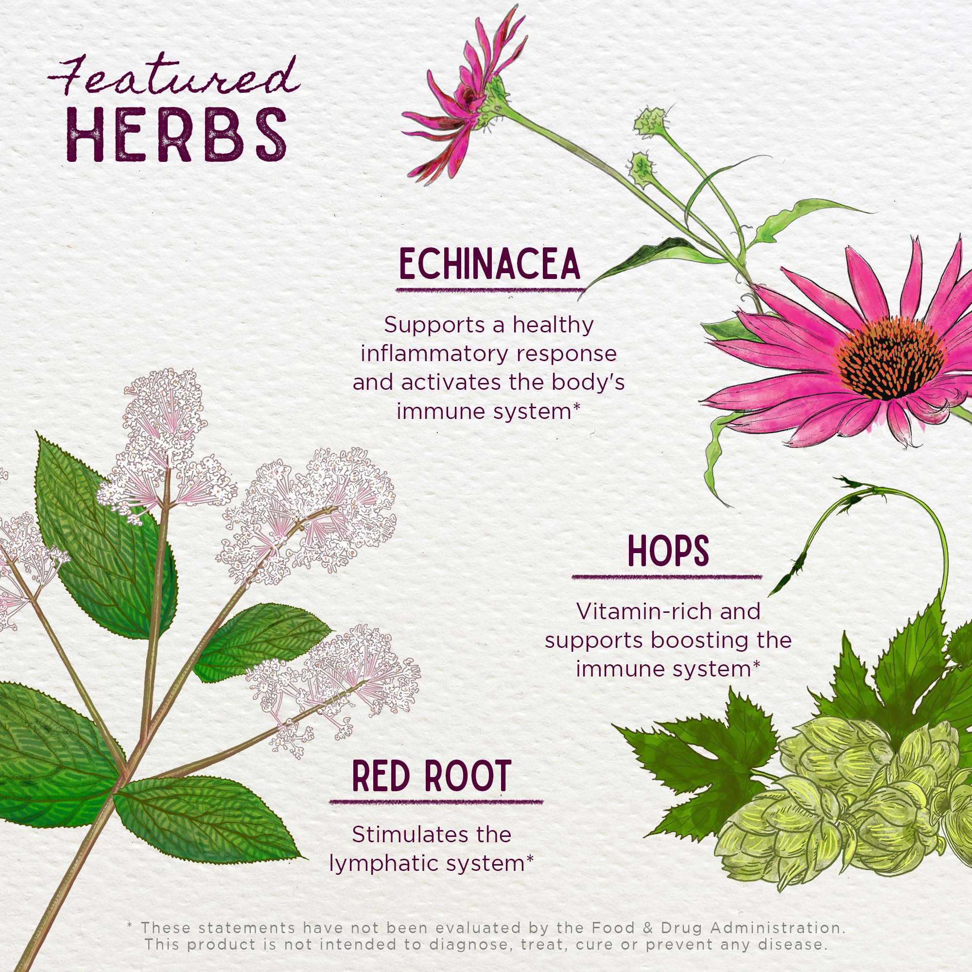 WishGarden Echinacea Goldenseal bottle supports immune features