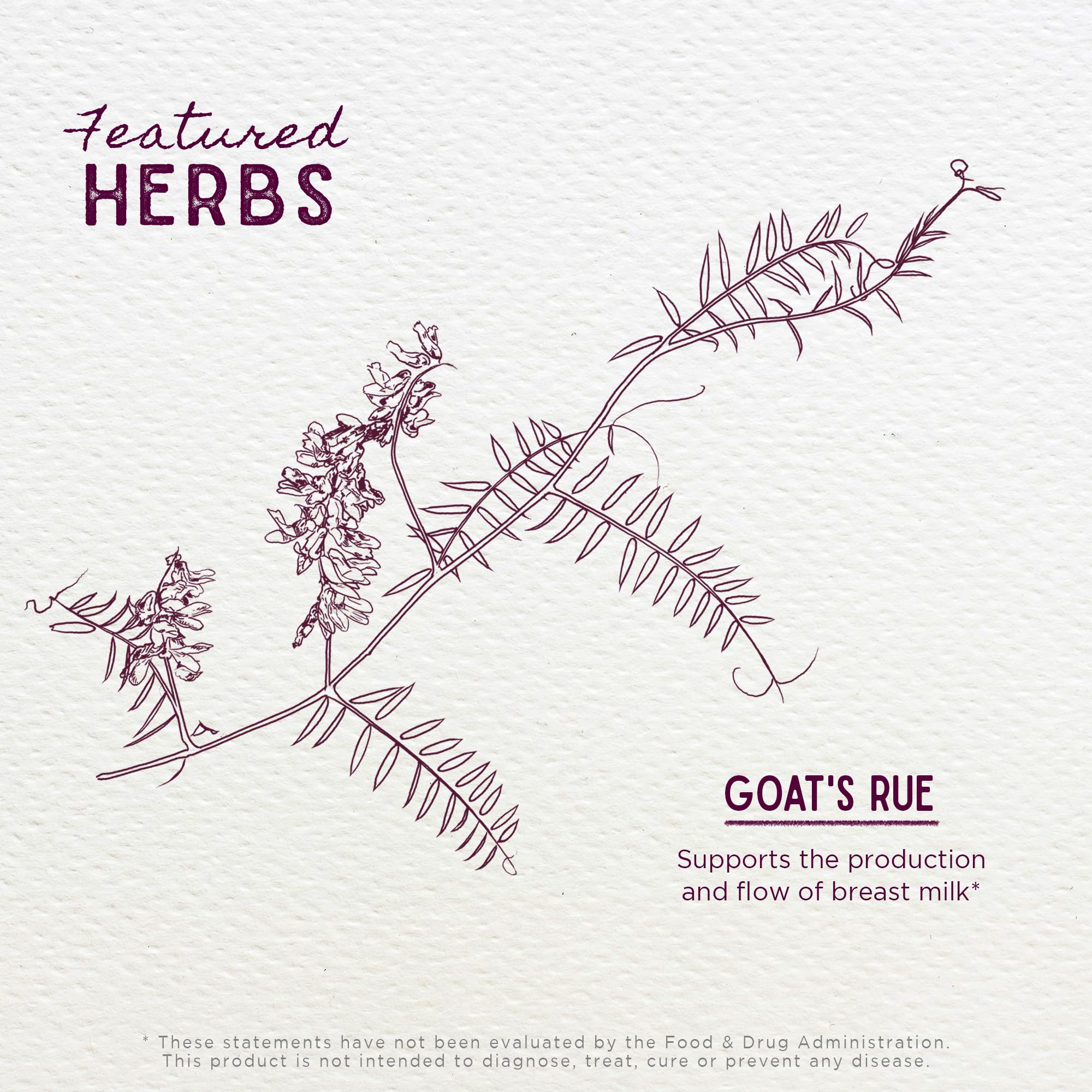 WishGarden Goat's Rue tincture label conveys organic, wild-harvested ingredients