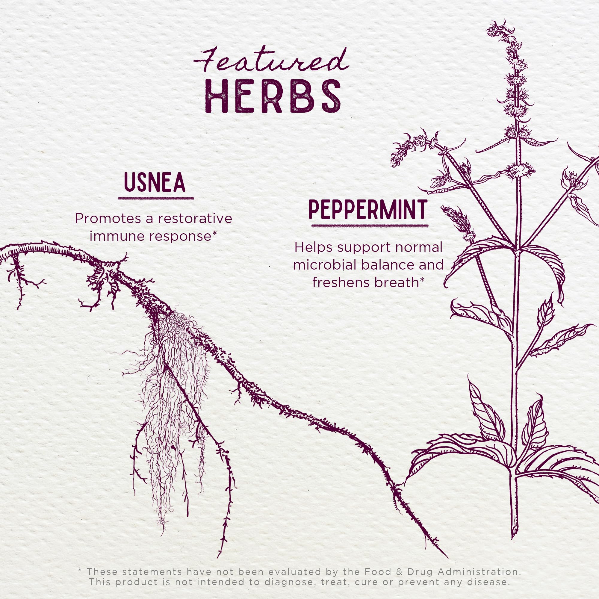 WishGarden Gum Strength herbal ingredients closeup highlights myrrh and usnea