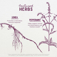 WishGarden Gum Strength herbal ingredients closeup highlights myrrh and usnea